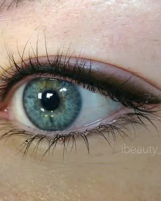 Healed eyeliner on a blue eye, fine line along the lashes